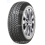 Giti WINTER W1