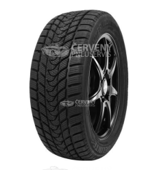 Delinte WD1 195/60 R15 88H TL M+S 3PMSF
