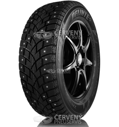 Delinte WINTER WD42