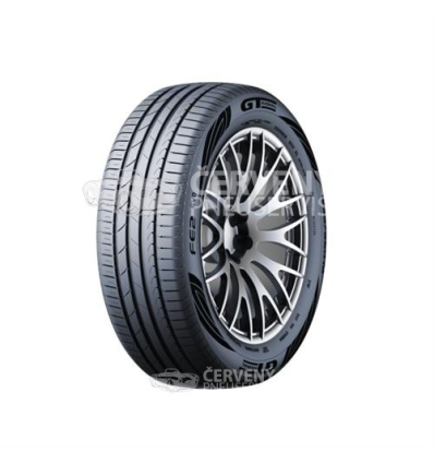 GT Radial FE2 EVO