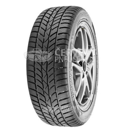 Hankook W442 WINTER ICEPT RS