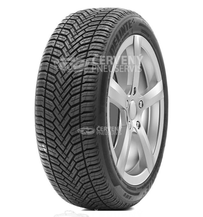 Delinte AW6